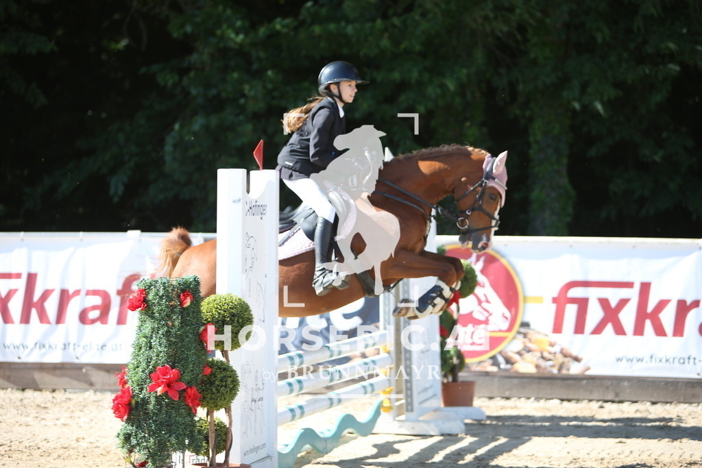 PP017975 | Willkommen bei Brunnmayr - Design & Fotografie – Ihrem Spezialisten für Reitturniere und Pferdeveranstaltungen in Oberösterreich, Salzburg und Bayern! Seit über 17 Jahren sind wir leidenschaftlich dabei.