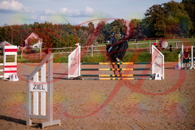 2026_10_03_Siefer-Hof_171541_Z81_13138452 | Professionelle Reitsport-, Turnier- und Eventfotografie von Robert Broda. Galerien mit ausgewählten und bearbeiteten Bildern direkt online ansehen und bestellen.
