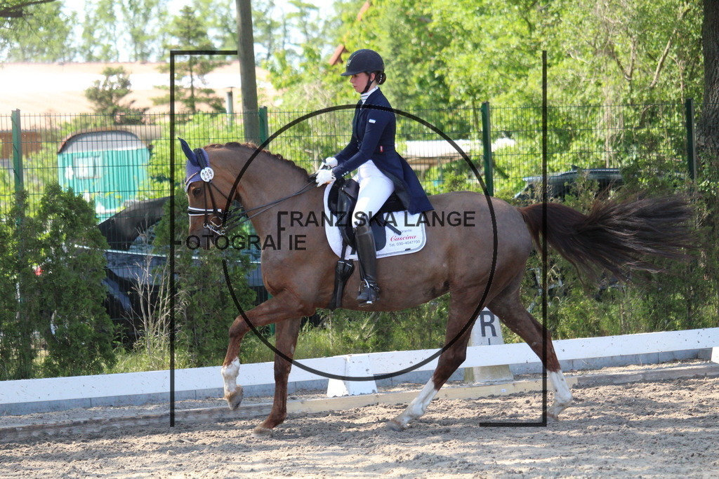 IMG_5213 | franziskalange - Realisiert mit Pictrs.com