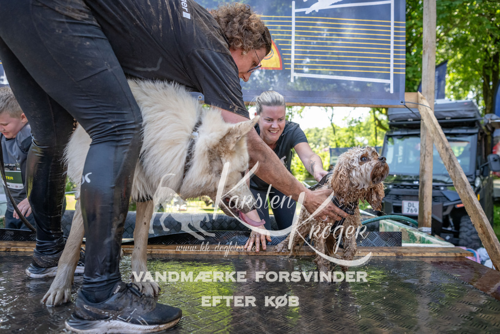 1427_ZZ94196 | kk-dogfotos