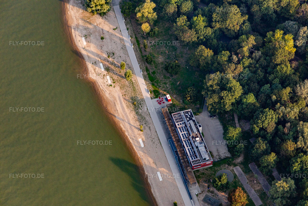 Luftbild: Uferbereiche am Rhein des Strandbad-Mannheim-Neckarau mit Restaurant Purino im Ortsteil Niederfeld in Mannheim im Bundesland Baden-Württemberg in Deutschland. Foto: IMG_116858.jpg vom 25.08.2019 durch Werner Riehm/FLY-FOTO.de