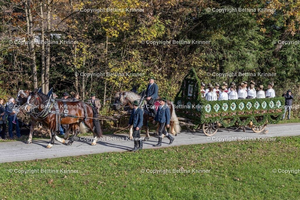 LBT24-580 | foto-bettina-krinner - Realisiert mit Pictrs.com