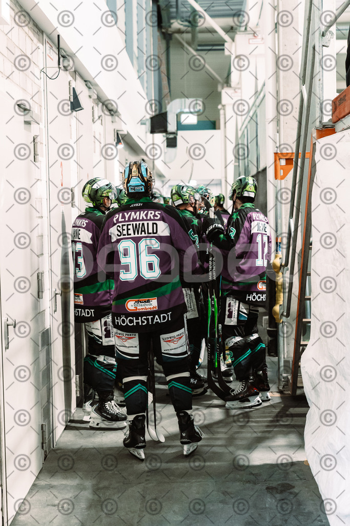 Alligators_vs_Bayreuth_10_2025-07 | Höchstadt Alligators Fotogalerie: Eishockey-Action aus Franken. Professionelle Spielfotos, Portraits & Stadionbilder zum Download. Jetzt entdecken! - Realisiert mit Pictrs.com