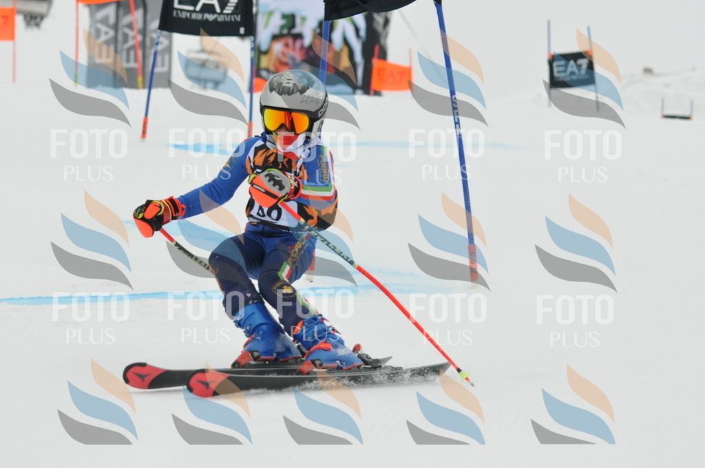 DSC_7795 | holidayphoto