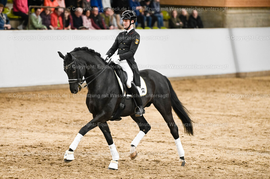 20260307_Hengstvorstellung-Marbach_0267 | equistock