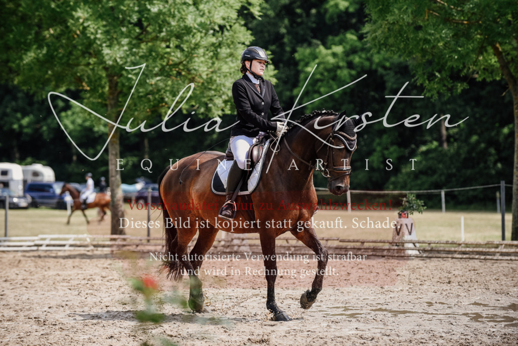 DSC_0802 | Pferde- und Turnierfotografie in Westsachsen. Pferdeportraits, Auftragszeichnungen und intuitive Kunst.