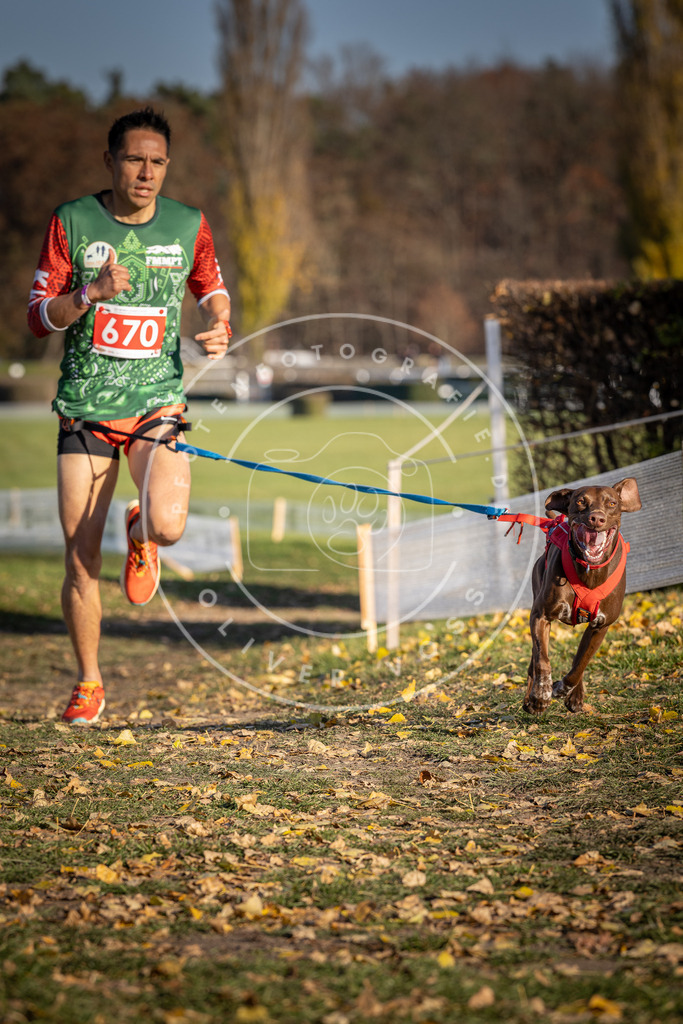 CaniXpix_DV3A0839 | Hundefotografie, Tierfotograf, Pfotenfotografie, Fotoshooting Hund, Hunde Portrait, Hundesport, Hundeportraits, Heideshooting, Hunde, Sportfotograf, Hundefotograf, Turnierhundsport, THS,  - Realisiert mit Pictrs.com