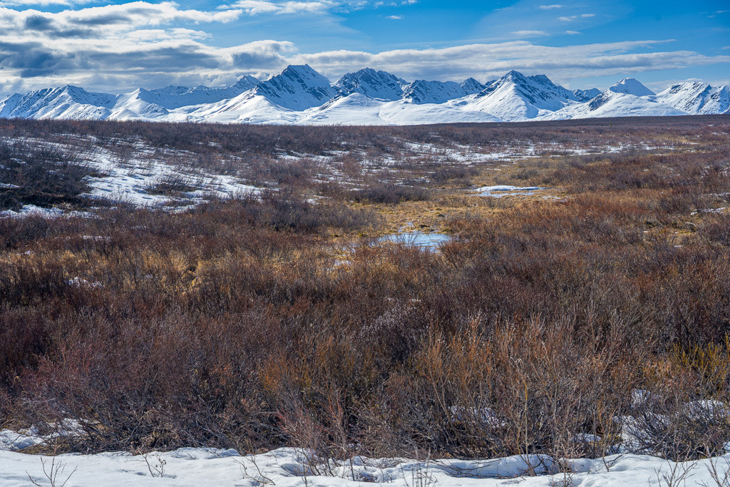 Alaska | Denali Highway - Realisiert mit Pictrs.com