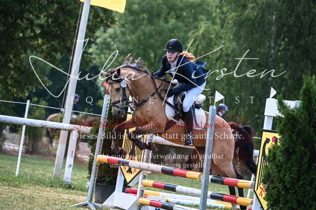 DSC_8035 | Pferde- und Turnierfotografie in Westsachsen. Pferdeportraits, Auftragszeichnungen und intuitive Kunst.