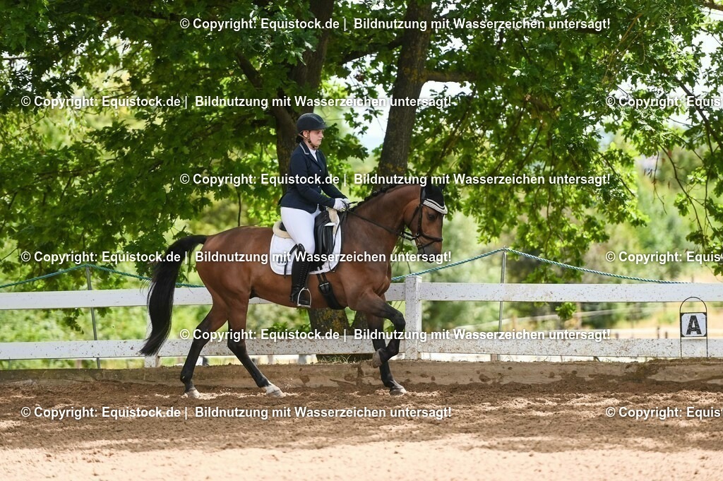20230716_03_Dressurprfg. Kl.L - Tr._0670 | equistock