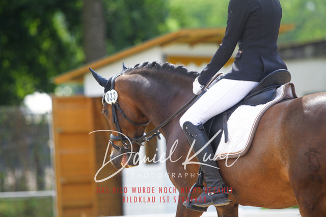 DKP41961 | Turniersportfotografie; Pferdefotografie; Dressurfotografie