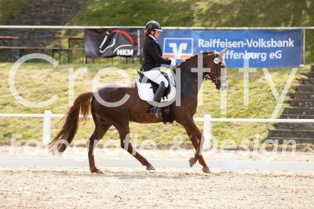 IMG_2388 | Creatify Fotografie