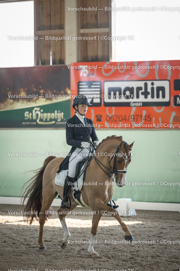 _D5A9446 | Emotionale Pferde- & People-Fotografie rund um Heidelberg, Leimen & Umgebung. Natürliche Fotos von Pferd, Mensch & Familie. Jetzt Termin sichern!