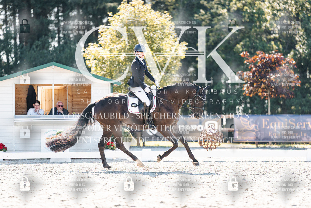 CK905612 | Turnierfotografie Pferdefotografie Trier Rheinland-Pfalz Pferdesport Reitsport Tierfotografie Sportfotografie Pferdevideo Pferdevideografie Equestrianvideography equestrianphotography  - Realisiert mit Pictrs.com
