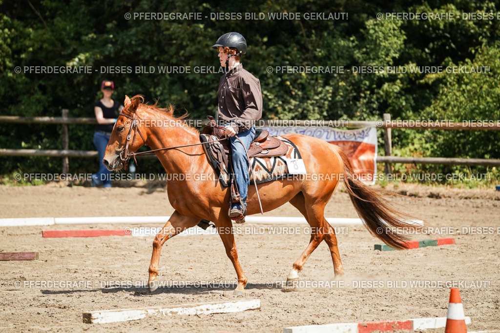 DSC07556 | Pferdegrafie