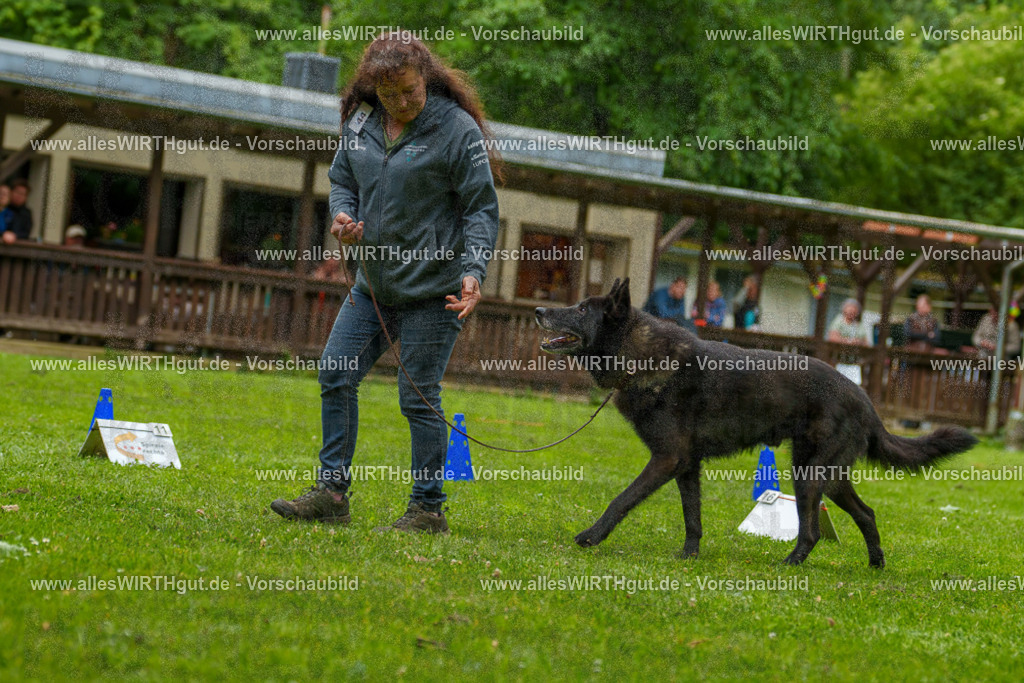 @allesWIRTHgut_Tierfotografie - www.allesWIRTHgut.de - 7R500233 | Professionelle Tierfotografie in Mönchengladbach von Daniel Wirth (allesWIRTHgut). Liebevolle & natürliche Bilder von Hunden & Katzen für unvergessliche Erinnerungen.