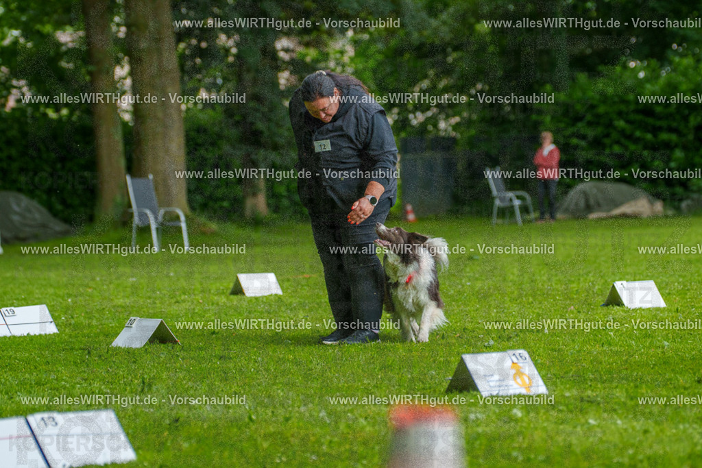 @allesWIRTHgut_Tierfotografie - www.allesWIRTHgut.de - 7R503486 | Professionelle Tierfotografie in Mönchengladbach von Daniel Wirth (allesWIRTHgut). Liebevolle & natürliche Bilder von Hunden & Katzen für unvergessliche Erinnerungen.