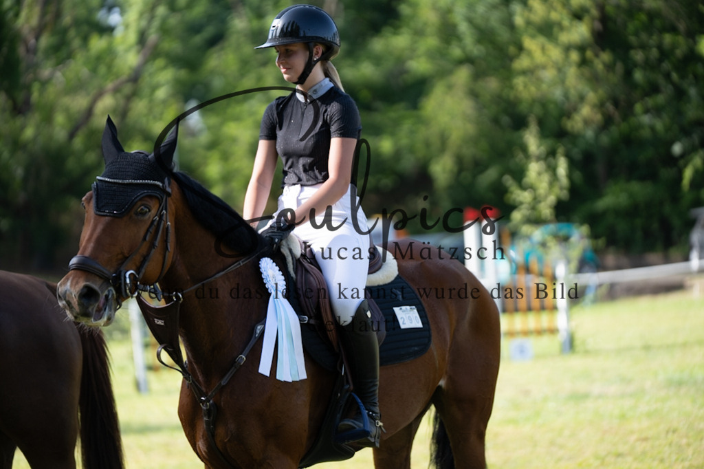 A7V06691 | Pferdefotograf