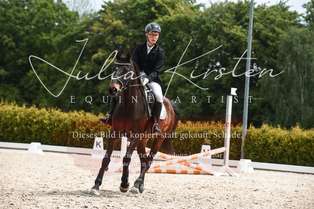 20230518_JK-Röhrsdorf-10-616 | Pferde- und Turnierfotografie in Westsachsen. Pferdeportraits, Auftragszeichnungen und intuitive Kunst.