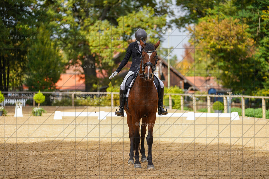 20221007-FAH09928 | Diessen am Ammersee, 2022, Dressur- und Springturnier, Reitsportbilder, Turnierfotografen Bayern, Pferdefotografen, Fotoagentur Herrmann, Turnierbilder