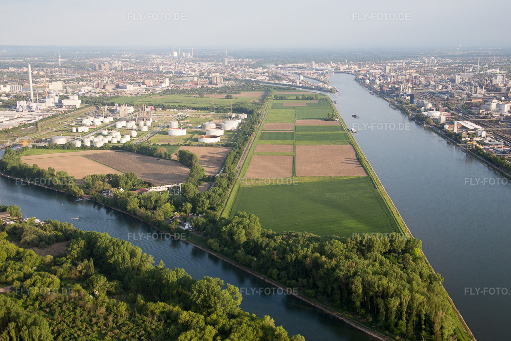 Luftbild: BASF Friesenheim im Ortsteil Neckarstadt-West in Mannheim im Bundesland Baden-Württemberg in Deutschland. Foto: IMG_088244.jpg vom 09.05.2016 durch Werner Riehm/FLY-FOTO.de