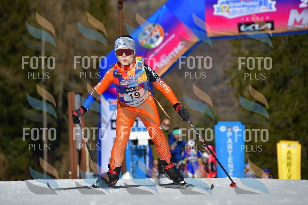 _DSC8768 | holidayphoto