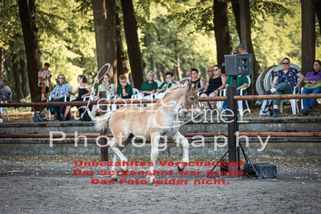 FrKHF00023 | Leoni Ertmer Photography - Realisiert mit Pictrs.com