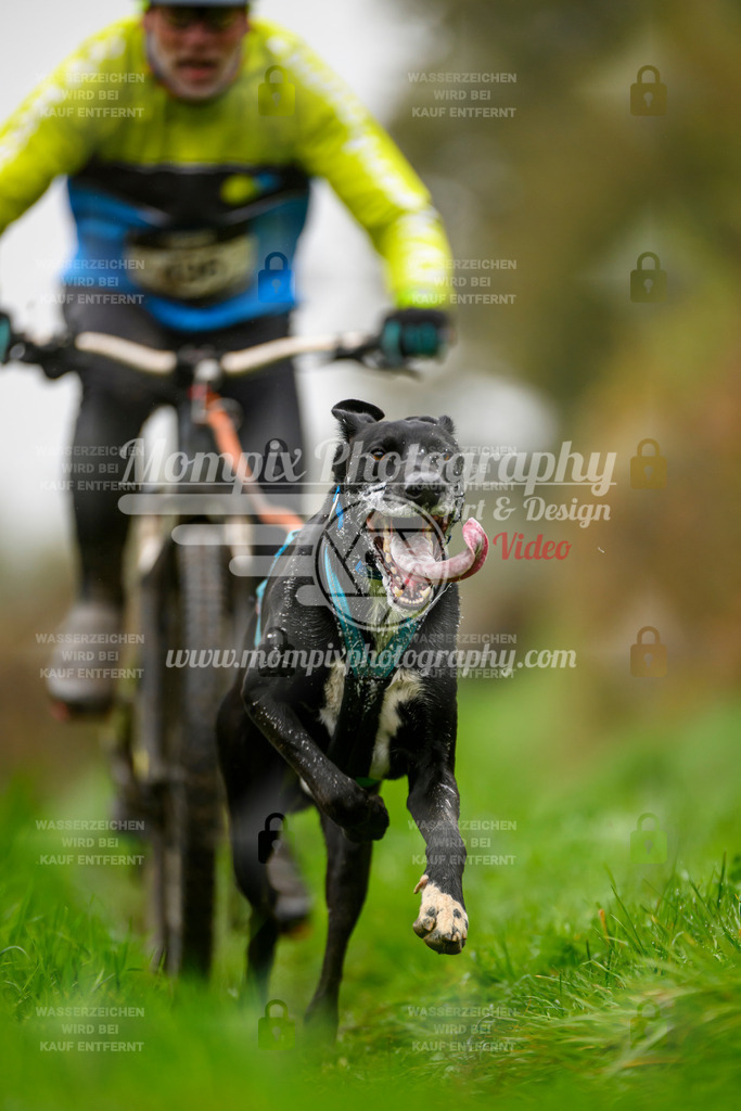 MompixPhotography_20TSB_E8_Bike-101 | PayLife