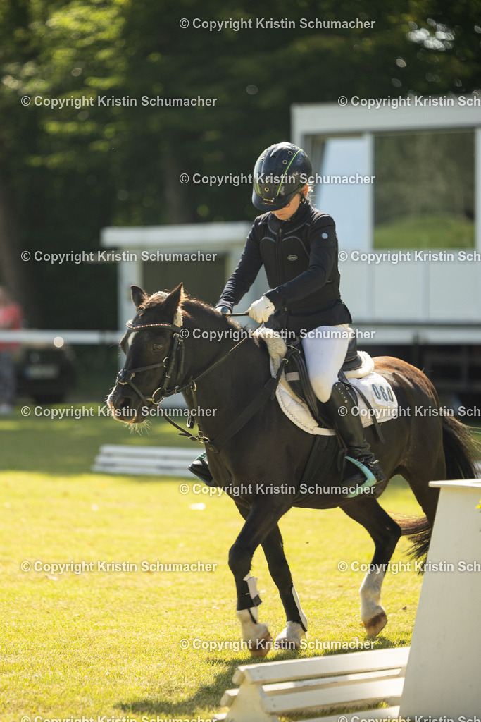 Prf. 4-17 | Kristin Schumacher Photography