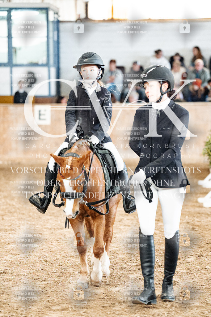 CK905648 | Turnierfotografie Pferdefotografie Trier Rheinland-Pfalz Pferdesport Reitsport Tierfotografie Sportfotografie Pferdevideo Pferdevideografie Equestrianvideography equestrianphotography  - Realized with Pictrs.com