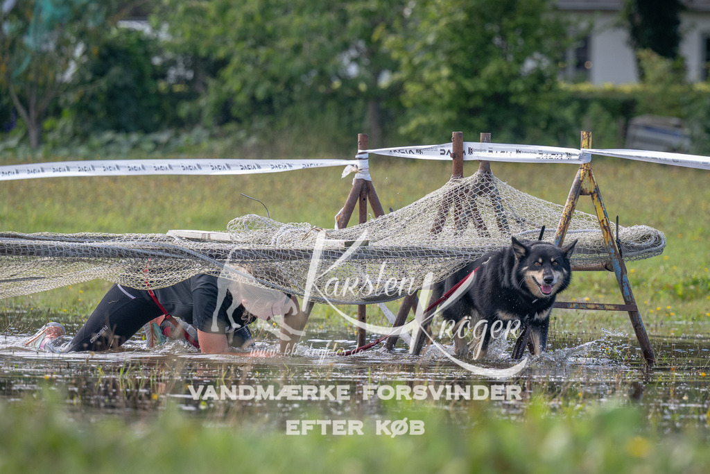 1151_ZZ90117 | kk-dogfotos