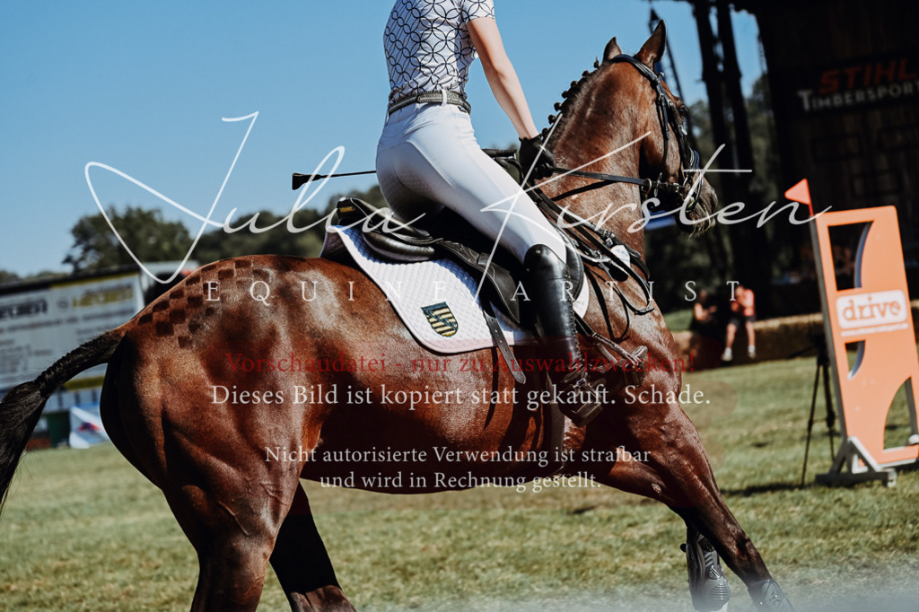 DSC_6757 | Pferde- und Turnierfotografie in Westsachsen. Pferdeportraits, Auftragszeichnungen und intuitive Kunst.