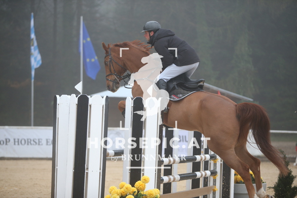 PP012453 | Willkommen bei Brunnmayr - Design & Fotografie – Ihrem Spezialisten für Reitturniere und Pferdeveranstaltungen in Oberösterreich, Salzburg und Bayern! Seit über 17 Jahren sind wir leidenschaftlich dabei.