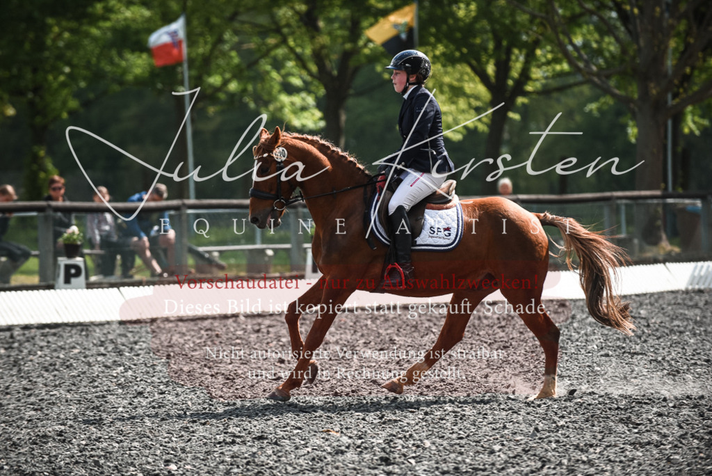 DSC_9060 | Pferde- und Turnierfotografie in Westsachsen. Pferdeportraits, Auftragszeichnungen und intuitive Kunst.