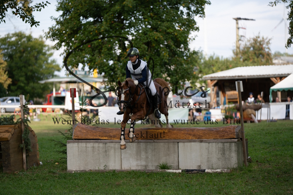 A7V03104 | Pferdefotograf