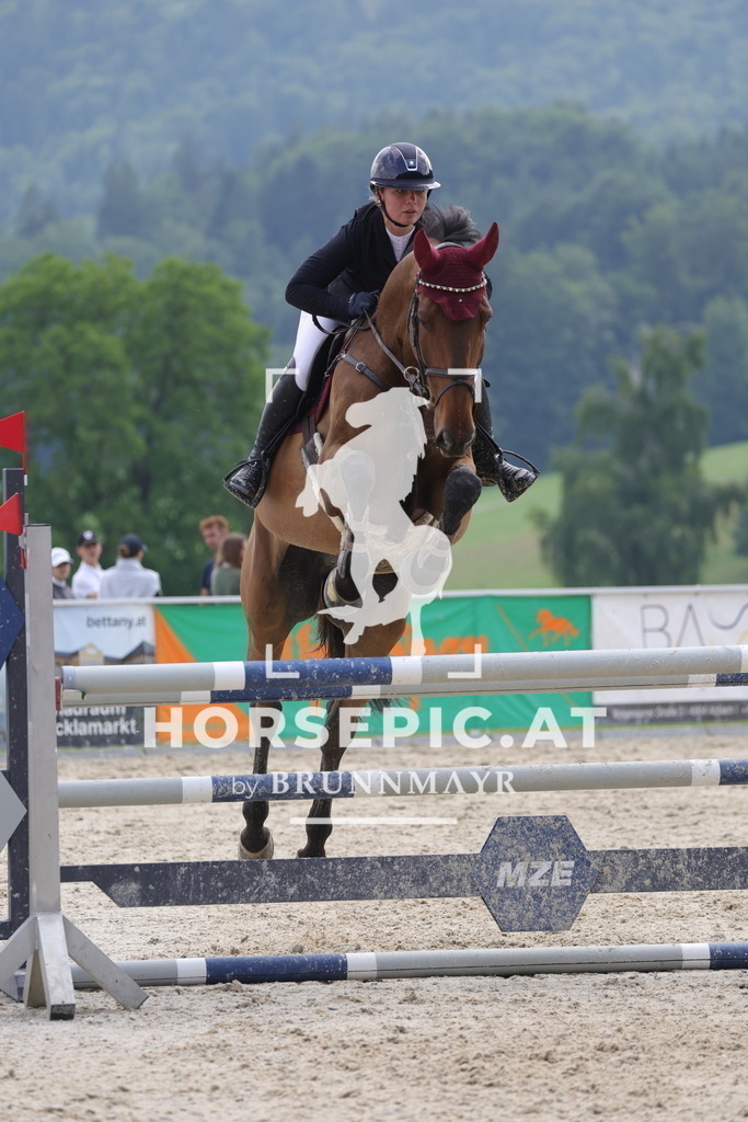 0P6A5108 | Willkommen bei Brunnmayr - Design & Fotografie – Ihrem Spezialisten für Reitturniere und Pferdeveranstaltungen in Oberösterreich, Salzburg und Bayern! Seit über 17 Jahren sind wir leidenschaftlich dabei.