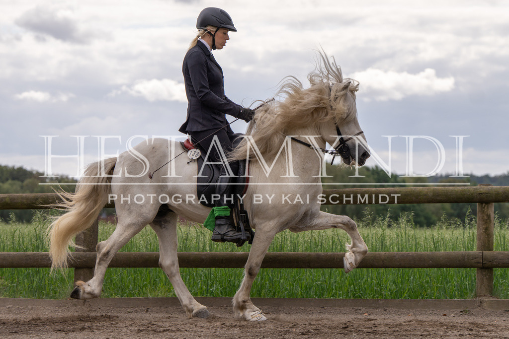 KAI02999 | Ihr sucht einen Fotografen für eure nächste OSI? Ich begleite auch euer Turnier für Islandpferde fotografisch.  - Realisiert mit Pictrs.com