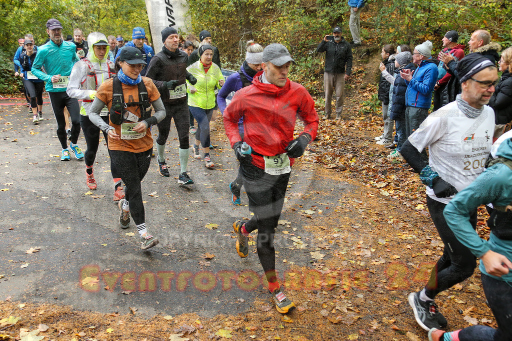 251026_1002_EX1_9698 | Sportfotografie im Rhein-Sieg Kreis, Köln, Bonn, NRW, Rheinland Pfalz, Hessen, etc. Unser Tätigkeitsfeld umfasst den Laufsport vom Volkslauf über den Marathon, Duathlon, Triathon bis zum Ultralauf wie Kölnpfad Ultra oder Schindertrail.