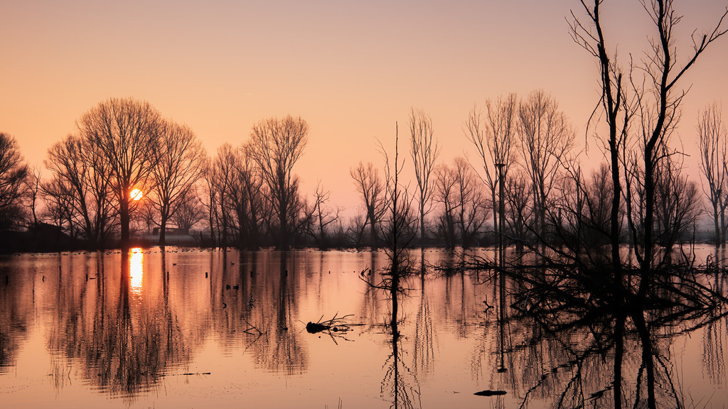 Wandbild - Stimmungsvolle Abenddämmerung über einem stillen See | Das Bild fängt die friedliche Schönheit einer Abenddämmerung über einem ruhigen See ein. Die untergehende Sonne wirft ein warmes, goldenes Licht durch die kahlen Bäume, deren Silhouetten sich klar gegen den farbenfrohen Himmel abzeichnen. Die Reflexion der Bäume und der Sonne auf der glatten Wasseroberfläche verstärkt die symmetrische Komposition und die beruhigende Atmosphäre. Ein paar Enten schwimmen ruhig auf dem Wasser, was dem Bild eine lebendige Note verleiht.