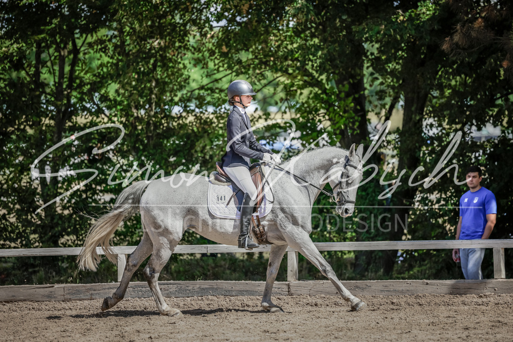 20250906-_3LI4696 | Tierfotografie Pferde, Hunde, Katzen, Haustiere.
Turnierfotografie Reitturniere, Reiten, Springreiten, Dressur in Hanau, dem Main-Kinzig-Kreis und dem Rhein-Main- Gebiet um Frankfurt