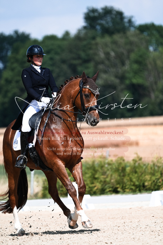 DSC_2863 | Pferde- und Turnierfotografie in Westsachsen. Pferdeportraits, Auftragszeichnungen und intuitive Kunst.