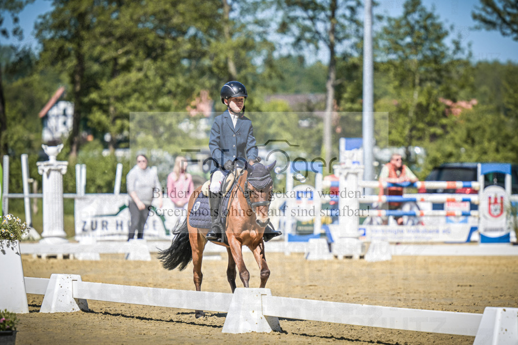 DOS_8595 | Entdecke hochwertige Reitturnierfotos von Foto Oger. Professionell, emotional und authentisch – jetzt Lieblingsmomente im Shop bestellen.Deutschlandweite Turnierfotografie. - Realisiert mit Pictrs.com