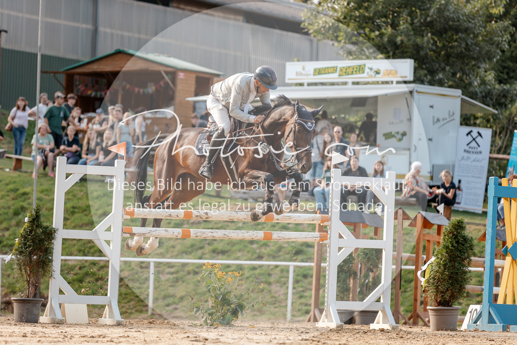 3I6A5295 | Stimmungsvolle Portraits und Reitsportfotografie im Ruhrgebiet und im Münsterland.

Pferdefotografie, Hundefotografie, Tierfotografie, Reportagen, Portraits von Tier und Mensch, Turnierfotografie in Bochum, Recklinghausen, Marl, Haltern am See, Dülmen.. - Realisiert mit Pictrs.com