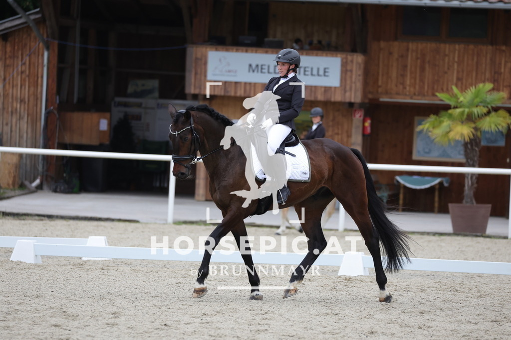 0P6A3270 | Willkommen bei Brunnmayr - Design & Fotografie – Ihrem Spezialisten für Reitturniere und Pferdeveranstaltungen in Oberösterreich, Salzburg und Bayern! Seit über 17 Jahren sind wir leidenschaftlich dabei.