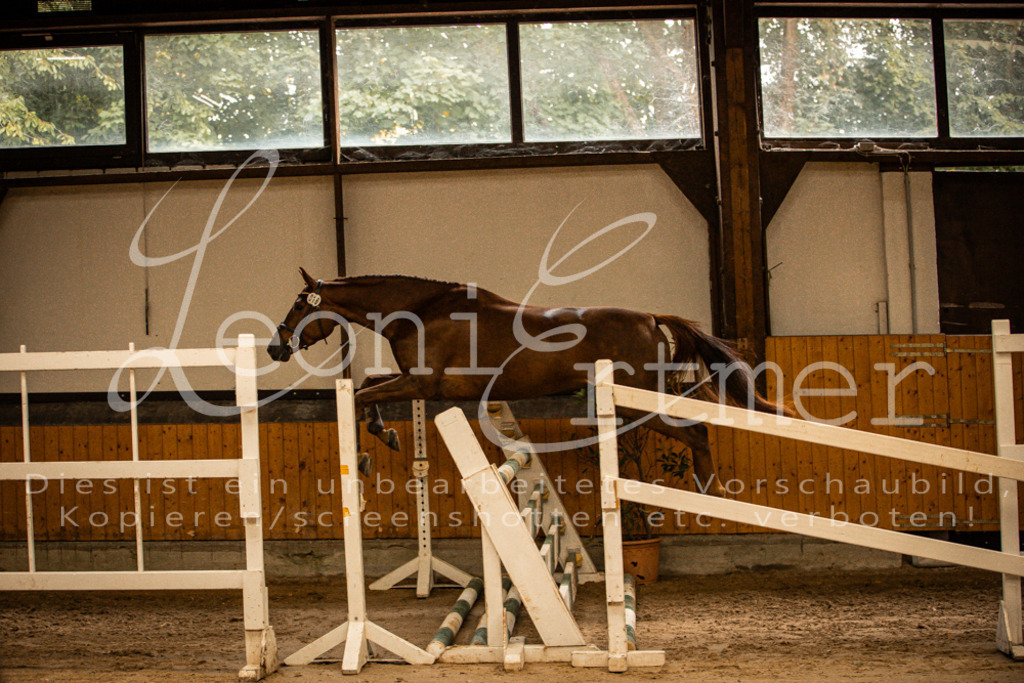 2FS_L00080 | Leoni Ertmer Photography - Realisiert mit Pictrs.com