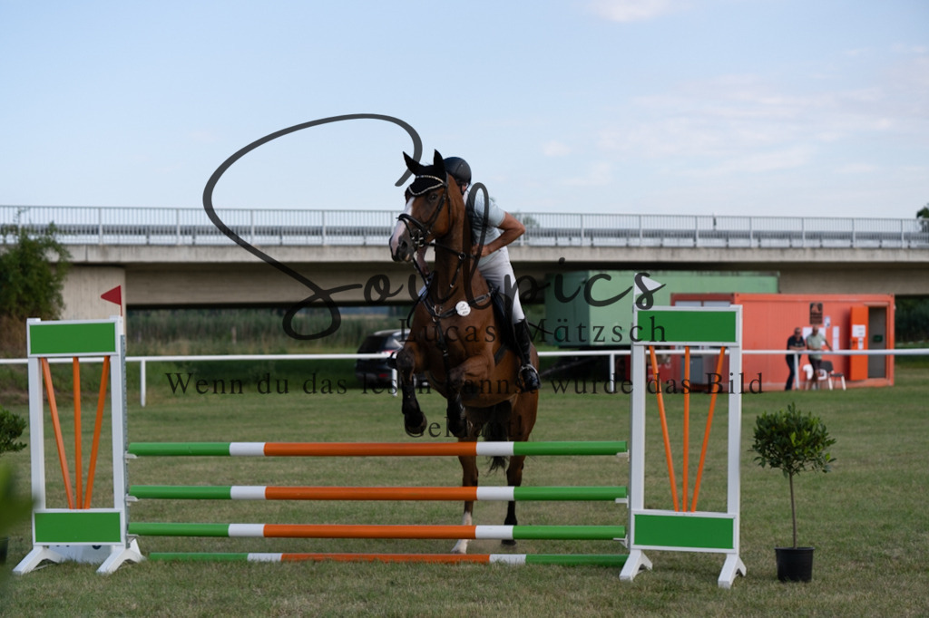 A7V01210 | Pferdefotograf