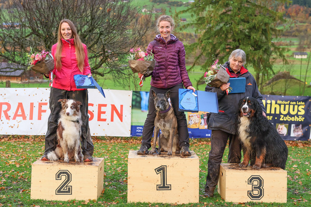2025_Rally_Obedience_SM-288 | Ich fotografiere Hundeausstellungen, Sportanlässe, Zuchtstätten, Hundezucht, Hundeportrait, Lagotto - Realisiert mit Pictrs.com
