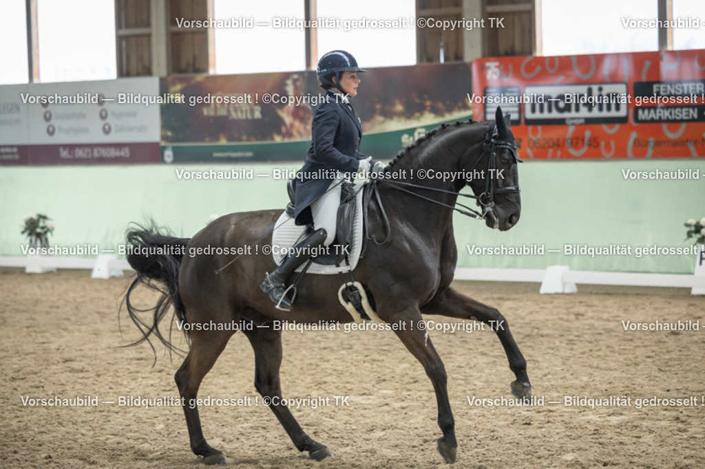 _D5A6856 | Emotionale Pferde- & People-Fotografie rund um Heidelberg, Leimen & Umgebung. Natürliche Fotos von Pferd, Mensch & Familie. Jetzt Termin sichern!