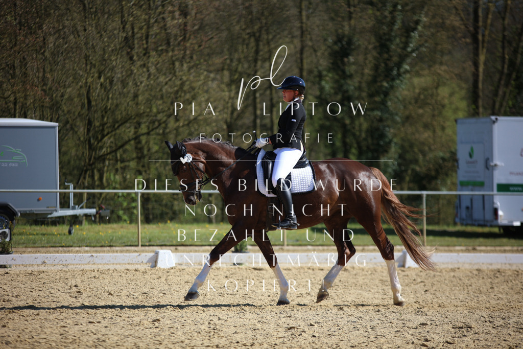 IMGT8873 | pl-fotografie