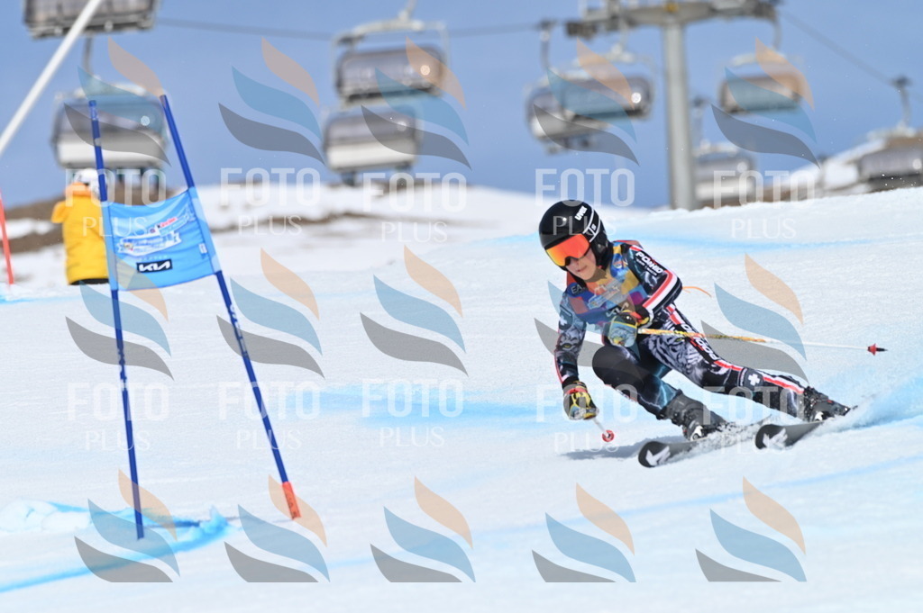 BGV_1090 | holidayphoto